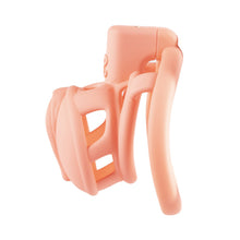 Load image into Gallery viewer, 3D Pussy Chastity Cage