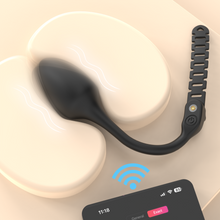 Lade das Bild in den Galerie-Viewer, App Controlled Anal Plug
