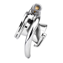 Load image into Gallery viewer, Prince Albert Piercing Inverted Chastity Cage