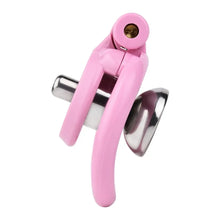 Load image into Gallery viewer, Flat Chastity Cage With Inverted Plugged