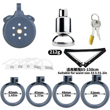 Load image into Gallery viewer, Flat Chastity Cage With Inverted Plugged
