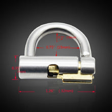 Load image into Gallery viewer, D-Ring PA Lock Glans Piercing
