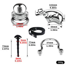 Afbeelding in Gallery-weergave laden, Dolphin Steel Chastity Cage with Anti-ring Removable - 7