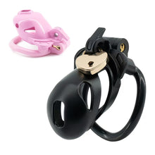 Load image into Gallery viewer, Double Lock Lightweight Chastity Cage