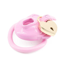 Load image into Gallery viewer, Double Lock Lightweight Chastity Cage 2