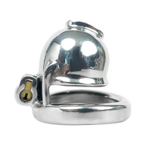 Afbeelding in Gallery-weergave laden, DS Sealed Custom Chastity Cage