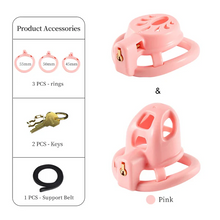 Load image into Gallery viewer, Small & Flat Chastity Cage Set