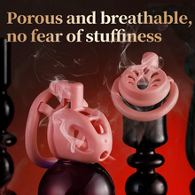 Load image into Gallery viewer, Dule Chastity Cage Set -9