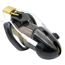 Afbeelding in Gallery-weergave laden, Elektrische Kuisheidskooi