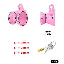 Load image into Gallery viewer, Exposed Inverted Cock Cage