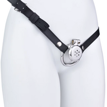 Load image into Gallery viewer, Flat Male Cock Cage with belt -2