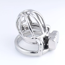 Afbeelding in Gallery-weergave laden, Steel Custom Chastity Cage With PA T14 - 5