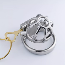 Afbeelding in Gallery-weergave laden, Steel Custom Chastity Cage With PA T14 - 4