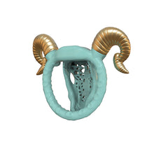Afbeelding in Gallery-weergave laden, Goat Horn Chastity Cage