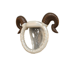 Afbeelding in Gallery-weergave laden, Goat Horn Chastity Cage