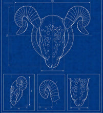 Afbeelding in Gallery-weergave laden, Goat Horn Chastity Cage