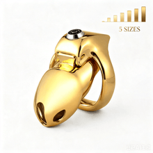 Afbeelding in Gallery-weergave laden, Golden V5 Chastity Cage in the main gallery view