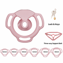 Lade das Bild in den Galerie-Viewer, Pink Halo Ring set illustration with 42, 46, 50, 52, 56 and 58 mm base rings, lock with keys and three-way support belt