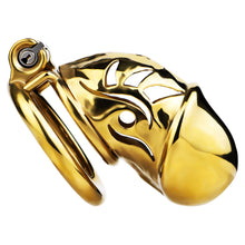 Load image into Gallery viewer, Lock Him Up Cock Cage - 1