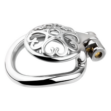 Lade das Bild in den Galerie-Viewer, Burial Love Chastity Cage