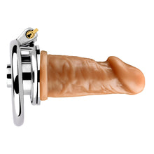 Load image into Gallery viewer, Negative Chastity Cage & Detachable Dildo and  Urethral