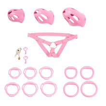 Lade das Bild in den Galerie-Viewer, Oval ventilated cage configuration 19 and included accessories