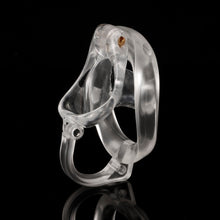 Load image into Gallery viewer, Dragon Turtle Egg Separation Chastity Cage