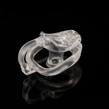 Load image into Gallery viewer, Dragon Turtle Egg Separation Chastity Cage