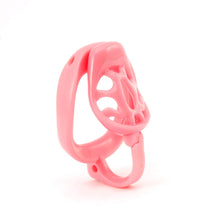 Load image into Gallery viewer, Dragon Turtle Egg Separation Chastity Cage