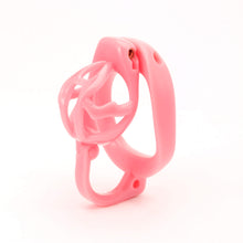 Load image into Gallery viewer, Dragon Turtle Egg Separation Chastity Cage