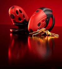 Lade das Bild in den Galerie-Viewer, Lockink Electro Vibe Retractable Chastity Cage