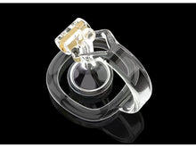 Load image into Gallery viewer, Reverse Chastity Device