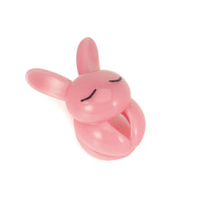 Lade das Bild in den Galerie-Viewer, Rogue Rabbit CB Chastity Cage 24