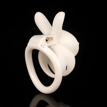 Lade das Bild in den Galerie-Viewer, Rogue Rabbit CB Chastity Cage 27