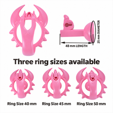 Load image into Gallery viewer, Scorpion chastity cage English size chart: 40, 45 and 50 mm rings; support piece 48 mm long and 25 mm diameter