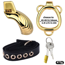 Load image into Gallery viewer, Shell Design Golden Chastity Cage - 10
