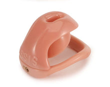 Load image into Gallery viewer, Sissy Protective Hood Chastity Cage 4