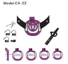 Load image into Gallery viewer, Sissy Cage With Wearable Chastity Cage