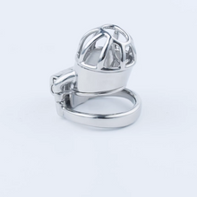 Afbeelding in Gallery-weergave laden, Stainless Steel Custom Chastity Cage With PA T15 - 3
