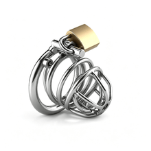 Afbeelding in Gallery-weergave laden, Stainless Steel PA Chastity Cage with Two Style Options
