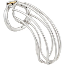 Lade das Bild in den Galerie-Viewer, Steel Big Chastity Cage - 3