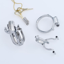 Afbeelding in Gallery-weergave laden, Steel Custom Chastity Cage With PA T10 - 4
