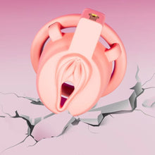 Load image into Gallery viewer, Super Cute ABS Pussy Chastity Cage