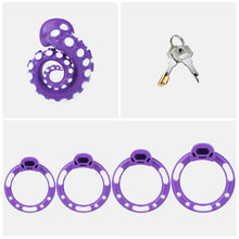 Load image into Gallery viewer, Purple standard set with four base rings and cylinder lock with two keys