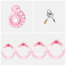 Load image into Gallery viewer, Pink standard set with four base rings and cylinder lock with two keys