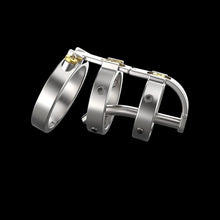 Load image into Gallery viewer, The Sadism Male Chastity Device