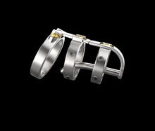 Load image into Gallery viewer, The Sadism Male Chastity Device