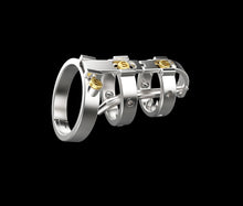 Load image into Gallery viewer, The Sadism Male Chastity Device