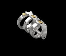 Load image into Gallery viewer, The Sadism Male Chastity Device