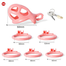 Lade das Bild in den Galerie-Viewer, V2 Premium Paint Cobra Cage - 5 Größen